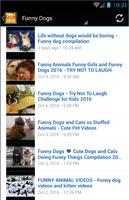 Funny Video Clips 截圖 2