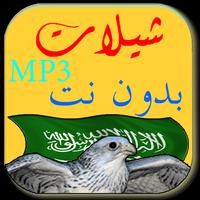 MP3 شيلات بدون نت تصوير الشاشة 3