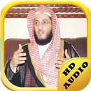 Mp3 Quran Audio Hani Ar Rifai APK