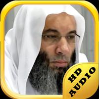 Quran Audio HD Muhammad Hassan 截图 1