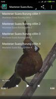 Suara Burung Cililin Master screenshot 1