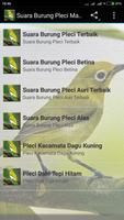 Suara Burung Pleci Gacor mp3 截图 3