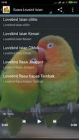 برنامه‌نما Suara Burung Lovebird Juara عکس از صفحه