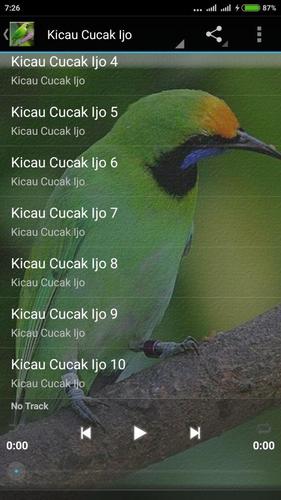Suara Cucak Ijo Gacor Mp3 For Android Apk Download