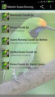Suara Cucak Ijo Gacor mp3 स्क्रीनशॉट 2