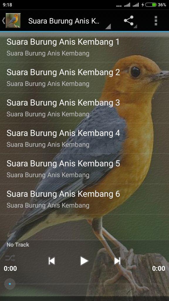 Burung Anis Merah Gacor Mp3 For Android Apk Download
