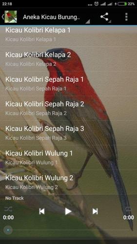 Kicau Kolibri Gacor Lengkap Apk 10 Download For Android