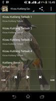 Master Burung  Kutilang Gacor Affiche