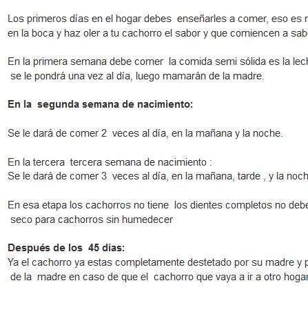 Alimentos para perros pitbull Poster
