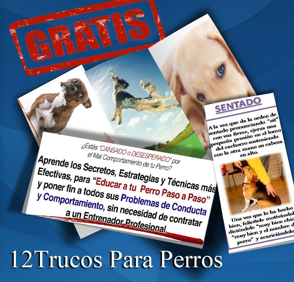 Alimentos para perros pitbull captura de pantalla 1