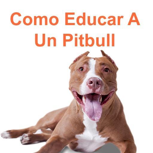 Como educar a un perro pitbull APK voor Android Download