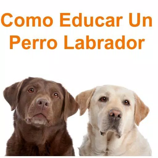 Descarga de APK de Como Educar Un Perro Labrador para Android