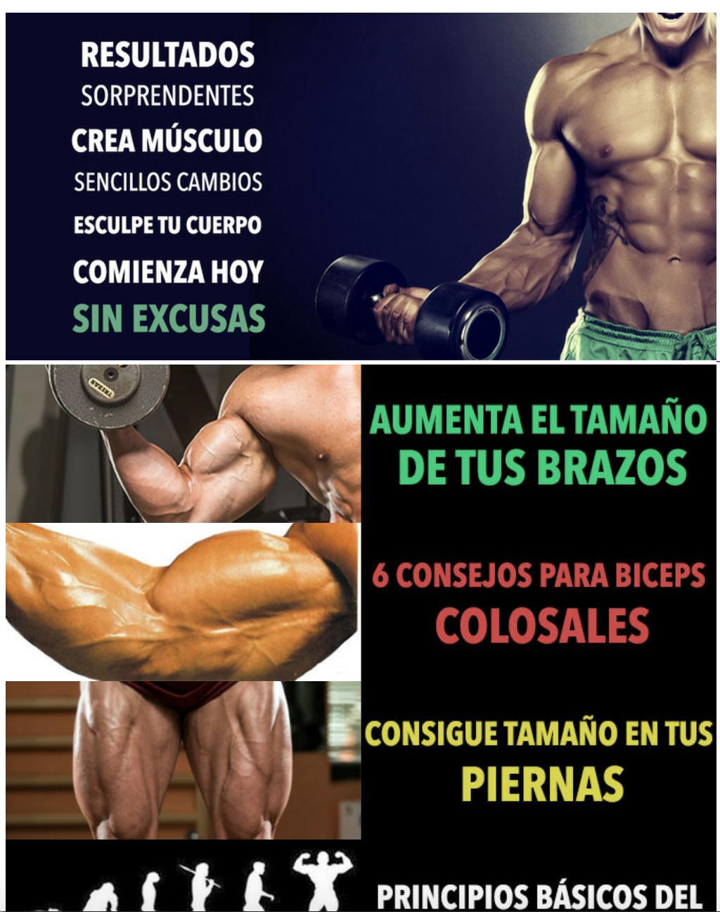 como ganar masa muscular rapido en los brazos
