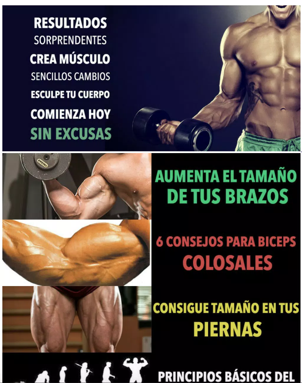 Aumentar Masa Muscular Rapido APK for Android Download