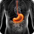 Gastritis Adios