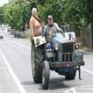 ”Funny pictures)(