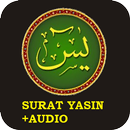 APK Yasiin dan tahlil