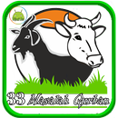 Buku 33 Masalah Qurban Terbaru APK