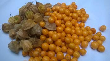 KALRO Gooseberry Screenshot 2