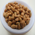 KALRO New Cowpea Varieties icon