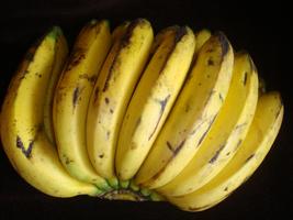 KALRO New Banana Varieties capture d'écran 2