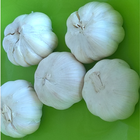 آیکون‌ KALRO Garlic Production
