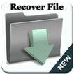 File Recovery video Joke