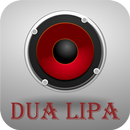 The Best of Dua Lipa APK