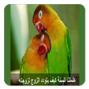 كيف كان الرسول يعامل زوجاته APK