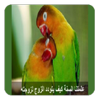 كيف كان الرسول يعامل زوجاته أيقونة