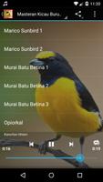 Masteran Kicau Burung imagem de tela 3