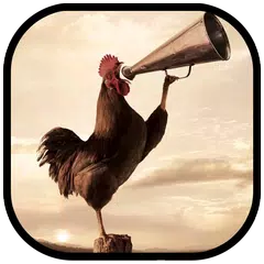 Wild Rooster Sounds APK download