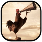 آیکون‌ Wild Rooster Sounds