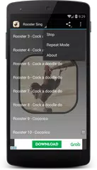 Wild Rooster Sounds APK download