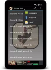 Wild Rooster Sounds APK download