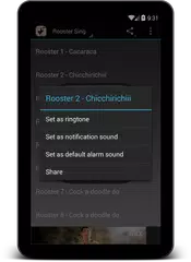 Wild Rooster Sounds APK download
