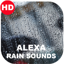 Endearing Rain Sounds-APK