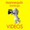 Mannequin challenge video