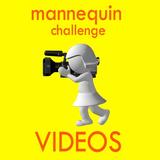 Mannequin challenge video icône