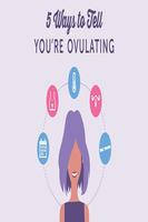 Ovulation Affiche
