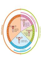 calculatrice d'ovulation Affiche