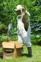 Beekeeper syot layar 2