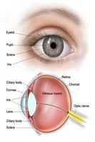 Ophthalmology Affiche