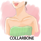 Collarbone. آئیکن