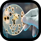 microbiology icon