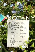 Botany poster