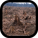 Deforestation APK