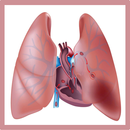 Pulmonary Embolism APK