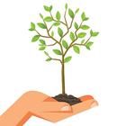 Reforestation 아이콘