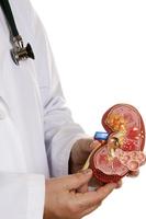 Nephrology ภาพหน้าจอ 2